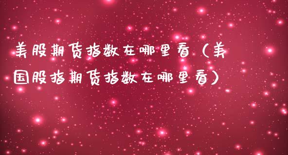 美股期货指数在哪里看（美国股指期货指数在哪里看）