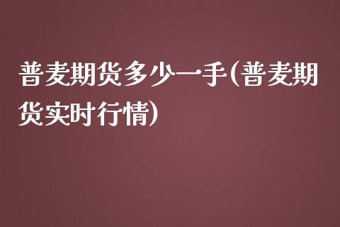 普麦期货多少一手(普麦期货实时行情)