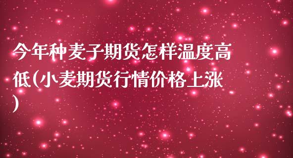 今年种麦子期货怎样温度高低(小麦期货行情价格上涨)