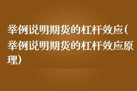 举例说明期货的杠杆效应(举例说明期货的杠杆效应原理)