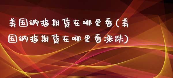 美国纳指期货在哪里看(美国纳指期货在哪里看涨跌)_https://www.boyangwujin.com_期货科普_第1张