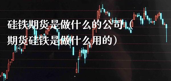 硅铁期货是做什么的公司（期货硅铁是做什么用的）