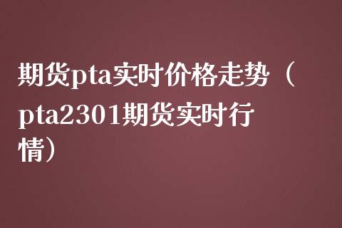 期货pta实时价格走势（pta2301期货实时行情）