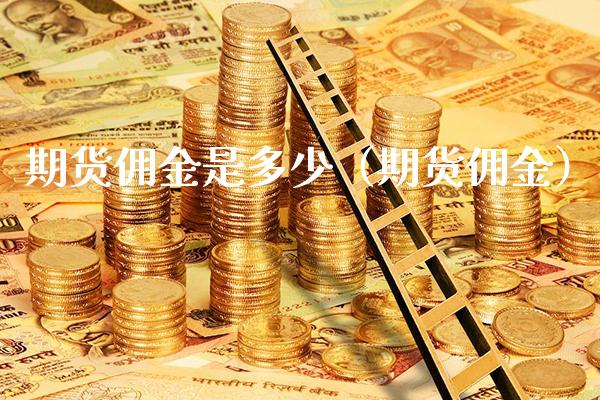 期货佣金是多少（期货佣金）