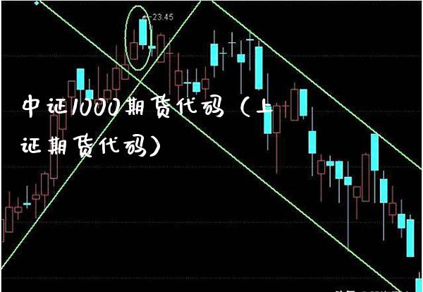 中证1000期货代码（上证期货代码）_https://www.boyangwujin.com_黄金期货_第1张