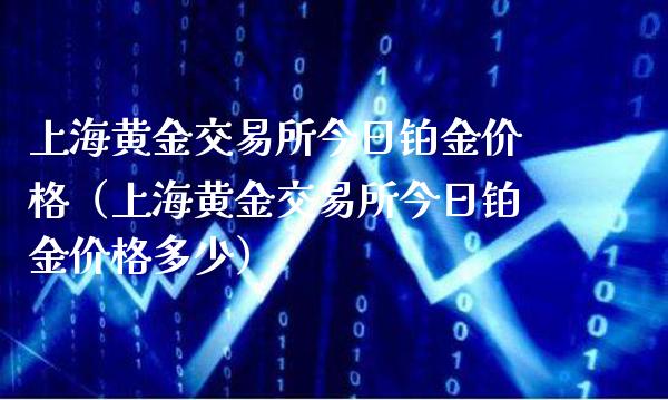 上海黄金交易所今日铂金价格（上海黄金交易所今日铂金价格多少）