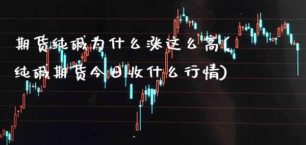 期货纯碱为什么涨这么高(纯碱期货今日收什么行情)