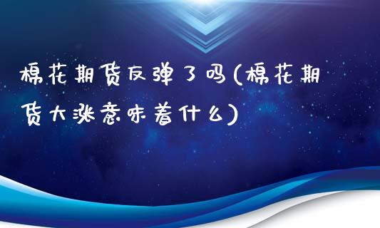 棉花期货反弹了吗(棉花期货大涨意味着什么)