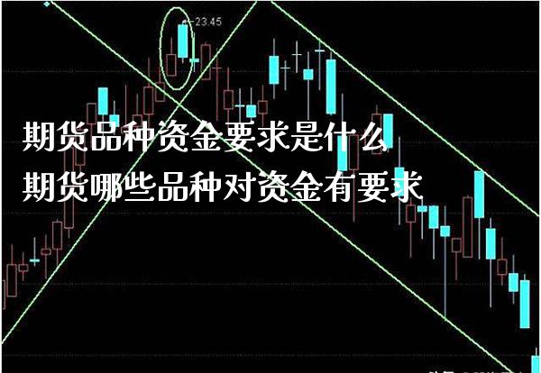 期货品种资金要求是什么 期货哪些品种对资金有要求