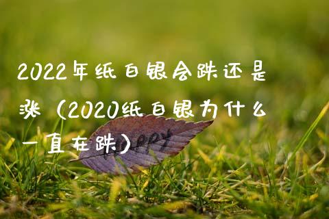 2022年纸白银会跌还是涨（2020纸白银为什么一直在跌）_https://www.boyangwujin.com_纳指期货_第1张