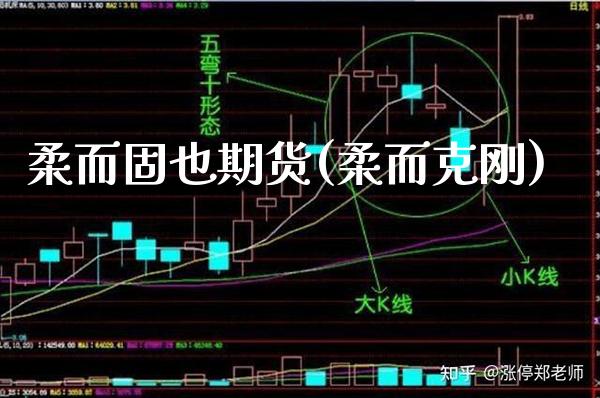 柔而固也期货(柔而克刚)_https://www.boyangwujin.com_道指期货_第1张