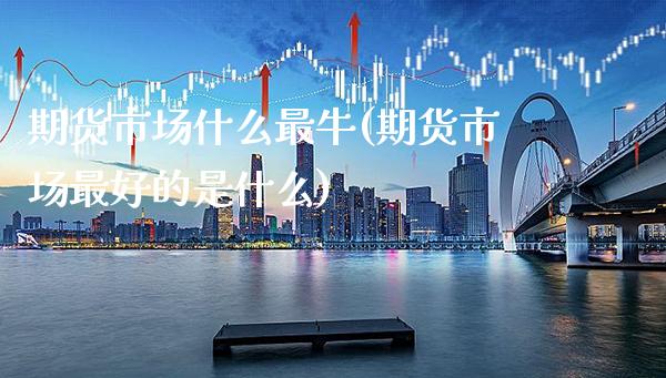 期货市场什么最牛(期货市场最好的是什么)_https://www.boyangwujin.com_黄金期货_第1张