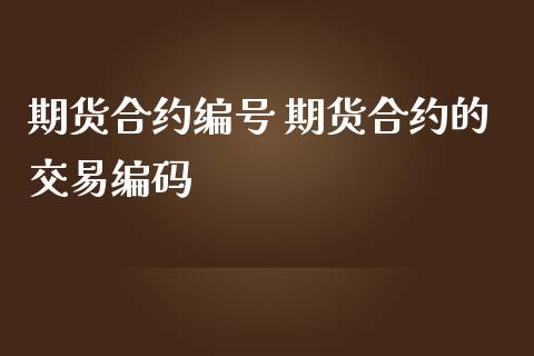 期货合约编号 期货合约的交易编码