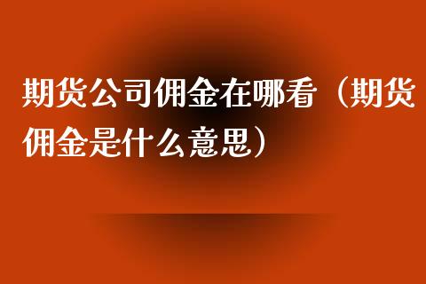 期货公司佣金在哪看（期货佣金是什么意思）