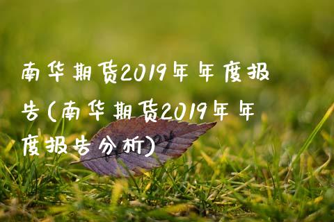 南华期货2019年年度报告(南华期货2019年年度报告分析)_https://www.boyangwujin.com_黄金直播间_第1张