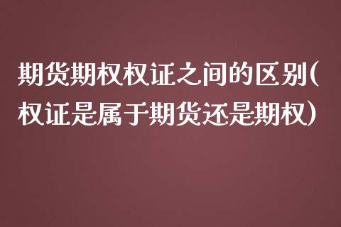 期货期权权证之间的区别(权证是属于期货还是期权)