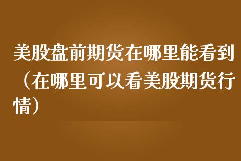 美股盘前期货在哪里能看到（在哪里可以看美股期货行情）_https://www.boyangwujin.com_原油期货_第1张