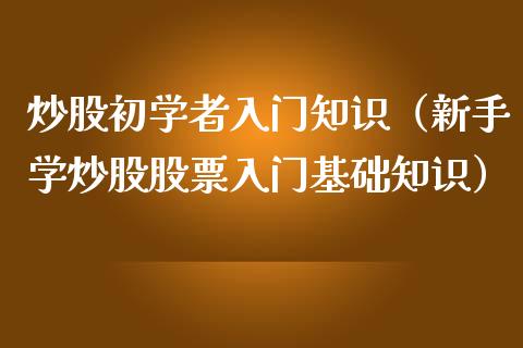 炒股初学者入门知识（新手学炒股股票入门基础知识）