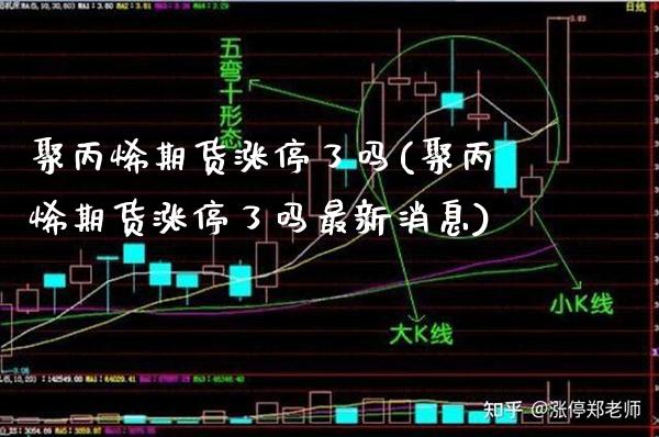 聚丙烯期货涨停了吗(聚丙烯期货涨停了吗最新消息)