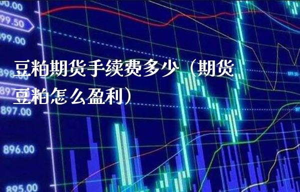 豆粕期货手续费多少（期货豆粕怎么盈利）