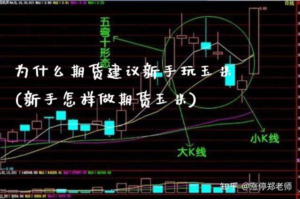 为什么期货建议新手玩玉米(新手怎样做期货玉米)