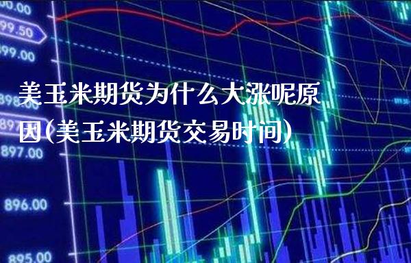 美玉米期货为什么大涨呢原因(美玉米期货交易时间)