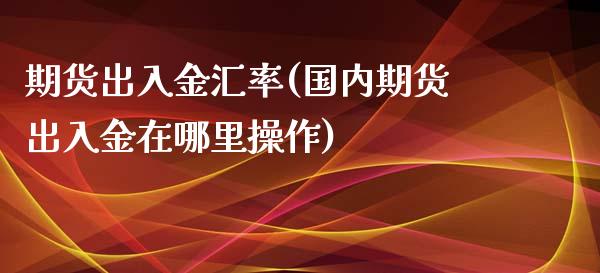 期货出入金汇率(国内期货出入金在哪里操作)