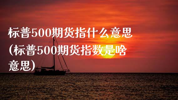 标普500期货指什么意思(标普500期货指数是啥意思)