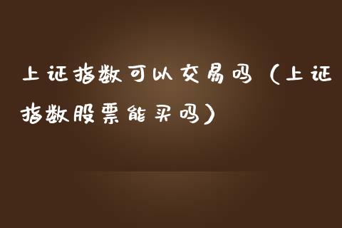 上证指数可以交易吗（上证指数股票能买吗）