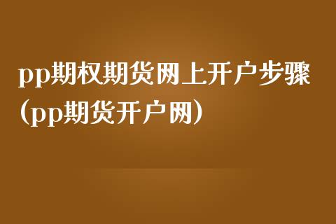 pp期权期货网上开户步骤(pp期货开户网)