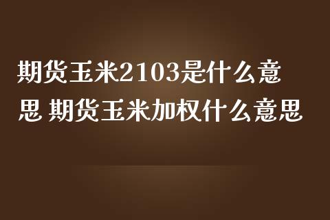 期货玉米2103是什么意思 期货玉米加权什么意思