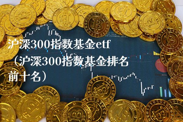 沪深300指数基金etf（沪深300指数基金排名前十名）