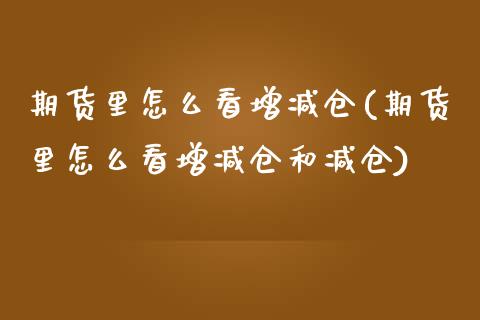 期货里怎么看增减仓(期货里怎么看增减仓和减仓)