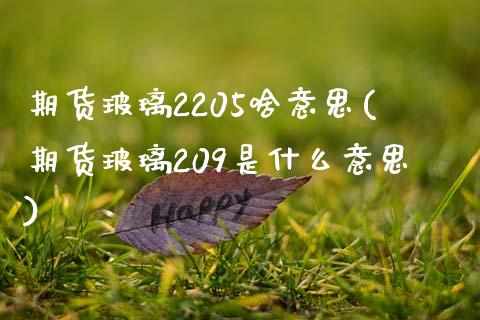 期货玻璃2205啥意思(期货玻璃209是什么意思)_https://www.boyangwujin.com_白银期货_第1张