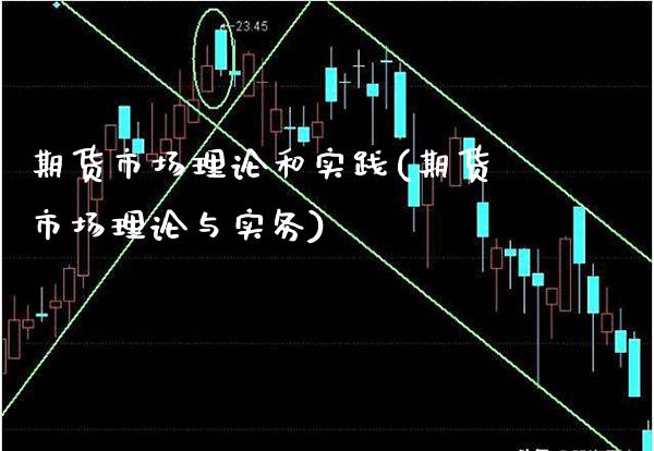 期货市场理论和实践(期货市场理论与实务)