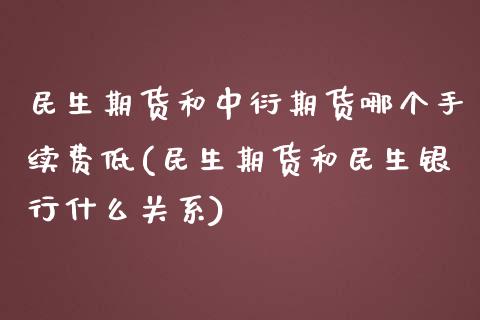 民生期货和中衍期货哪个手续费低(民生期货和民生银行什么关系)