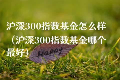 沪深300指数基金怎么样（沪深300指数基金哪个最好）