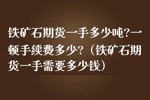 铁矿石期货一手多少吨?一顿手续费多少?（铁矿石期货一手需要多少钱）_https://www.boyangwujin.com_期货直播间_第1张