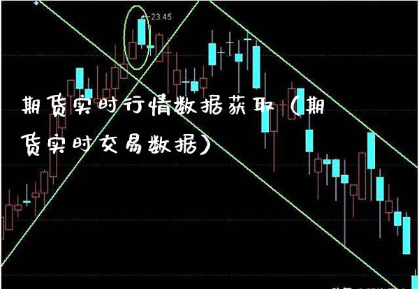 期货实时行情数据获取（期货实时交易数据）_https://www.boyangwujin.com_纳指期货_第1张