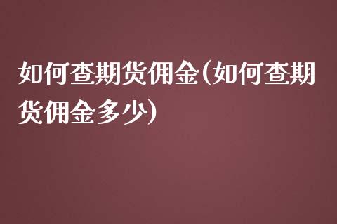 如何查期货佣金(如何查期货佣金多少)