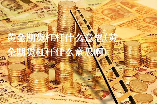 黄金期货杠杆什么意思(黄金期货杠杆什么意思啊)