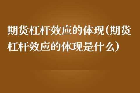 期货杠杆效应的体现(期货杠杆效应的体现是什么)