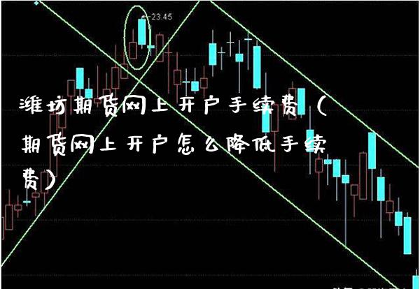 潍坊期货网上开户手续费（期货网上开户怎么降低手续费）_https://www.boyangwujin.com_期货直播间_第1张