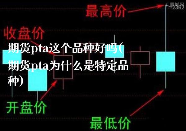 期货pta这个品种好吗(期货pta为什么是特定品种)