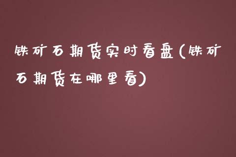 铁矿石期货实时看盘(铁矿石期货在哪里看)