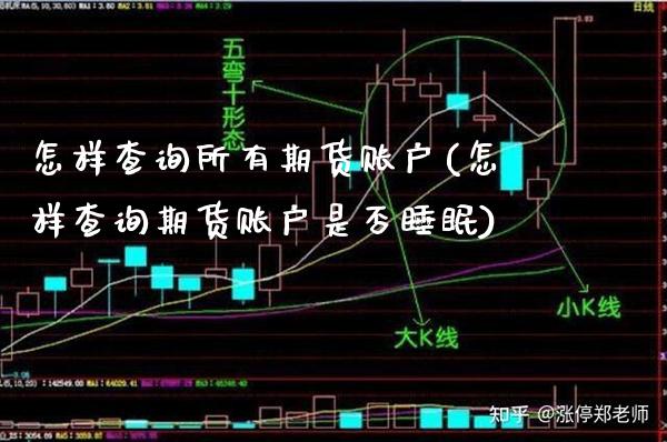 怎样查询所有期货账户(怎样查询期货账户是否睡眠)