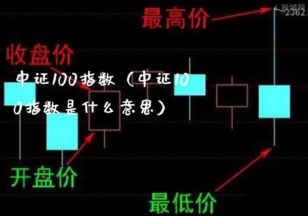 中证100指数（中证100指数是什么意思）_https://www.boyangwujin.com_黄金期货_第1张