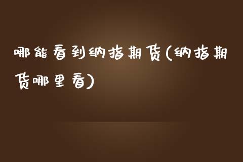 哪能看到纳指期货(纳指期货哪里看)_https://www.boyangwujin.com_期货直播间_第1张