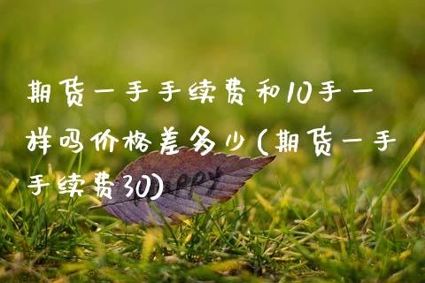 期货一手手续费和10手一样吗价格差多少(期货一手手续费30)