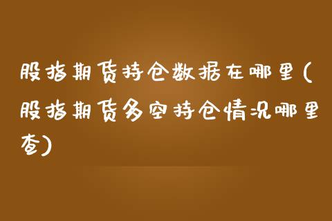 股指期货持仓数据在哪里(股指期货多空持仓情况哪里查)